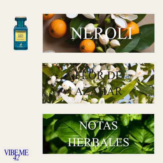 PORTO NEROLI