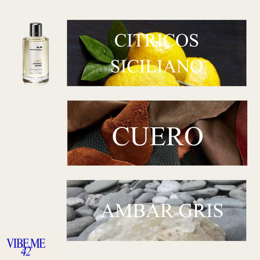 INTENSE CEDRAT BOISE