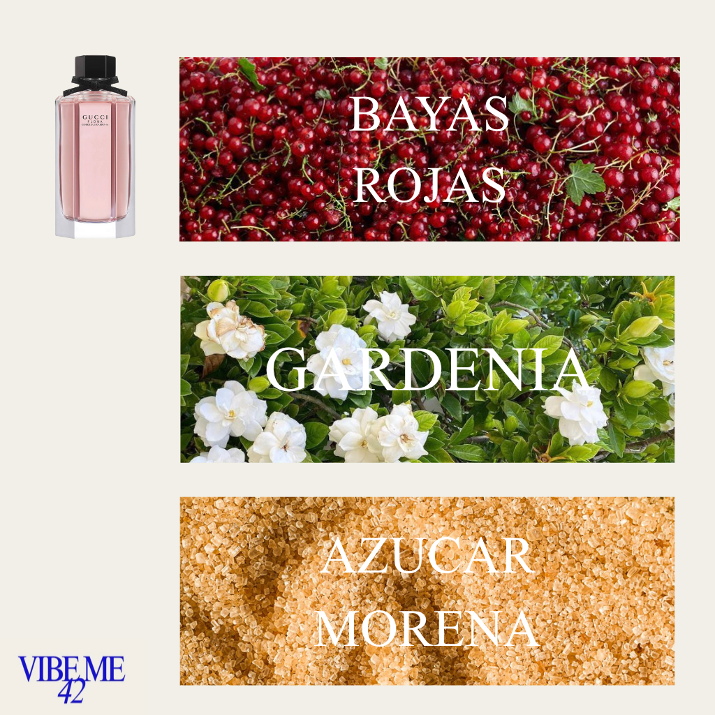 FLORA GEORGEOUS GARDENIA